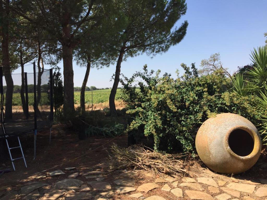 Casa Rural La Navarra Villarrobledo Dış mekan fotoğraf