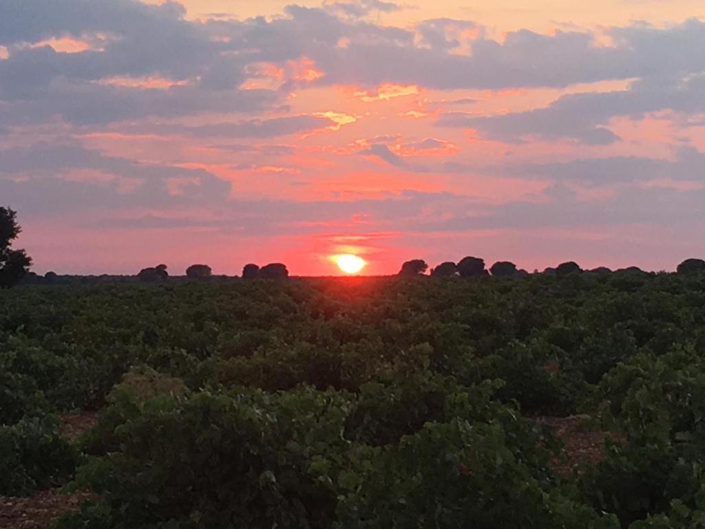 Casa Rural La Navarra Villarrobledo Dış mekan fotoğraf