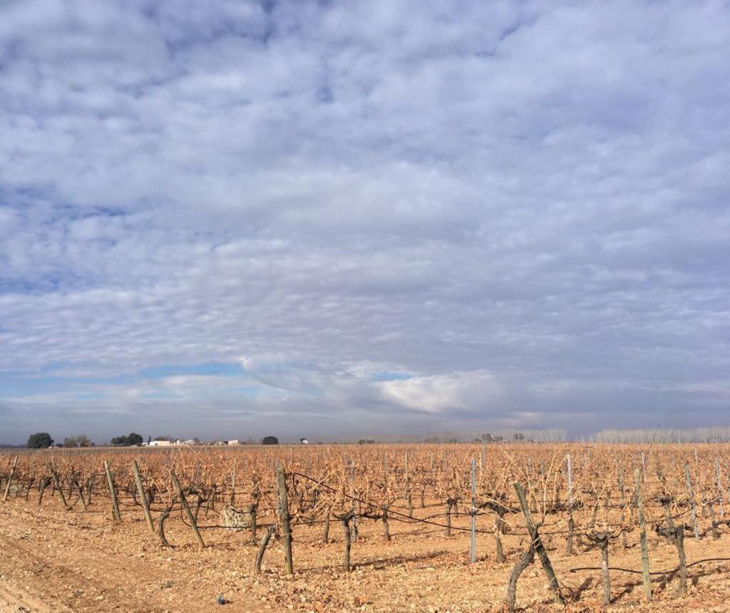 Casa Rural La Navarra Villarrobledo Dış mekan fotoğraf