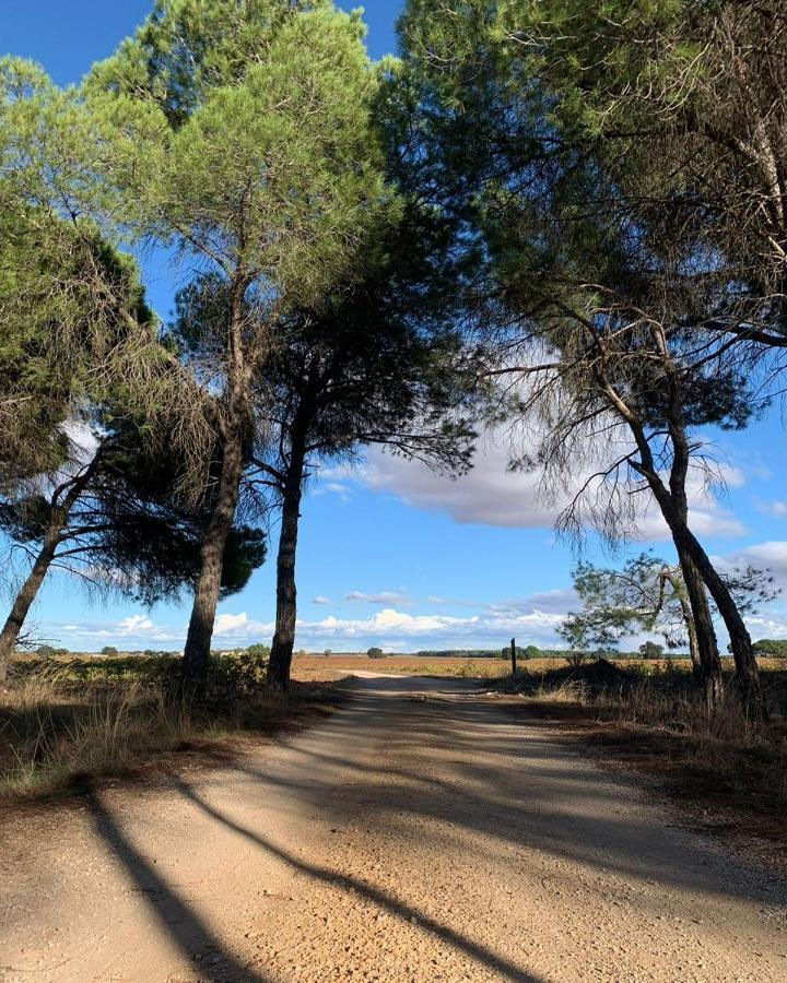Casa Rural La Navarra Villarrobledo Dış mekan fotoğraf