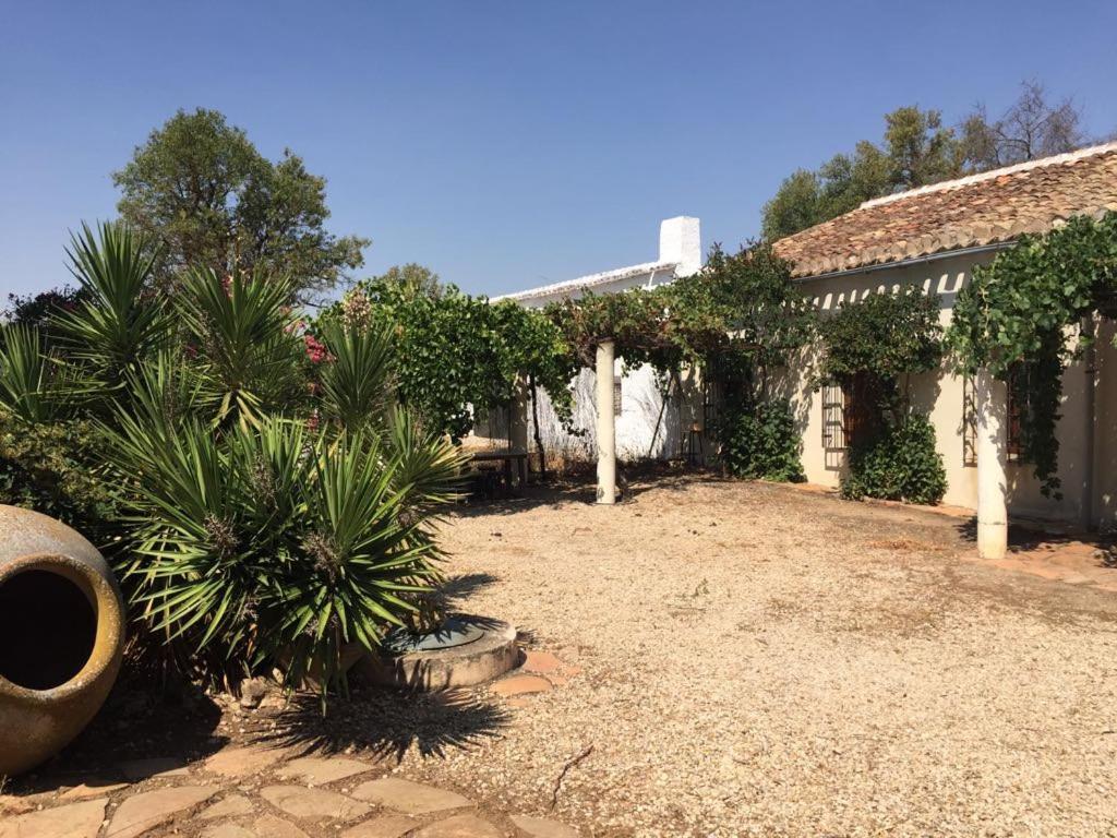 Casa Rural La Navarra Villarrobledo Dış mekan fotoğraf